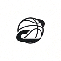 BB贝博艾弗森公司官方Logo - 现代体育品牌标志