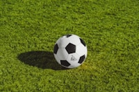 国际足球联合会 FIFA Logo